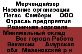 Мерчендайзер › Название организации ­ "Пегас" Самбери-3, ООО › Отрасль предприятия ­ Розничная торговля › Минимальный оклад ­ 23 500 - Все города Работа » Вакансии   . Амурская обл.,Мазановский р-н